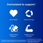 Buy Imported Original One A Day Multivitamin, Supplement For Men's & Women In UAE 