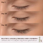 Buy Vassoul Natural Eyelash Growth Serum Online in UAE