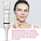 Buy Acne Erasing Emulsion by Evanesce New York Online in UAE