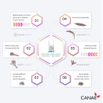 Canae White Underarm Roll On Best Natural Deodorant Sensitive Skin Suitable for Women and Men